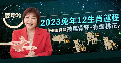 麥玲玲 2023 風水佈局|麥玲玲2023風水佈局｜正東方病位須化解！如個催旺 